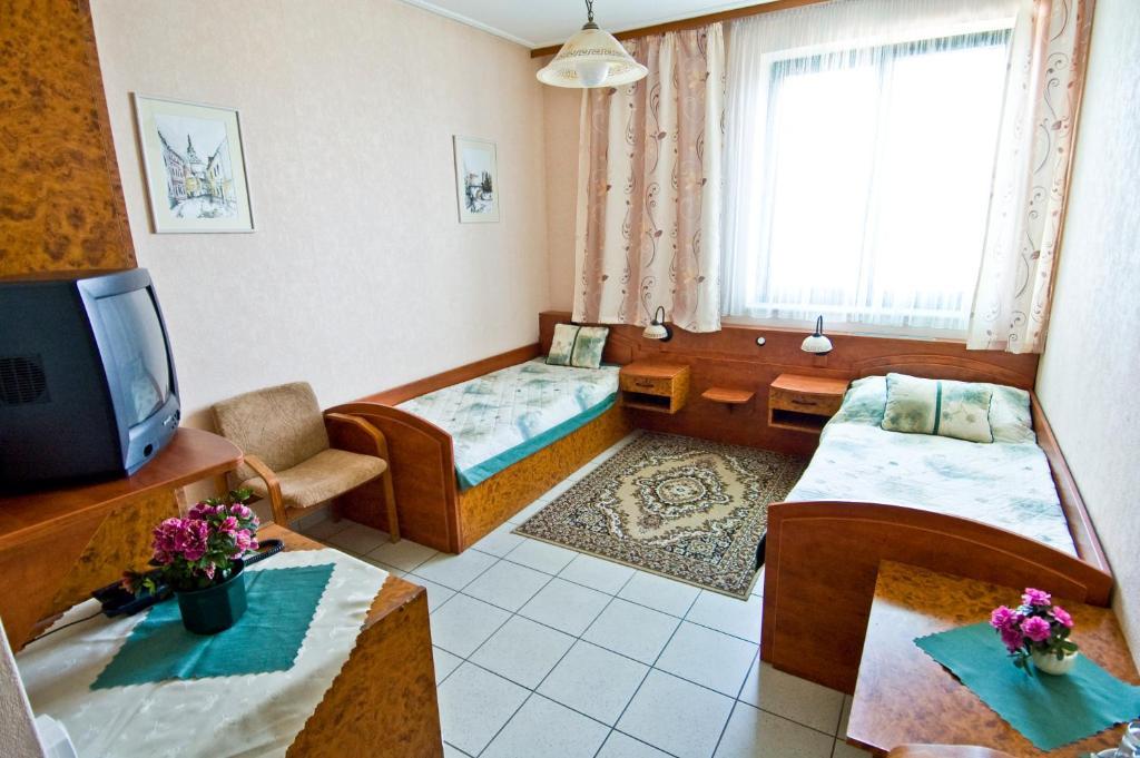 Hotel Relax U Drsu Tábor Habitación foto